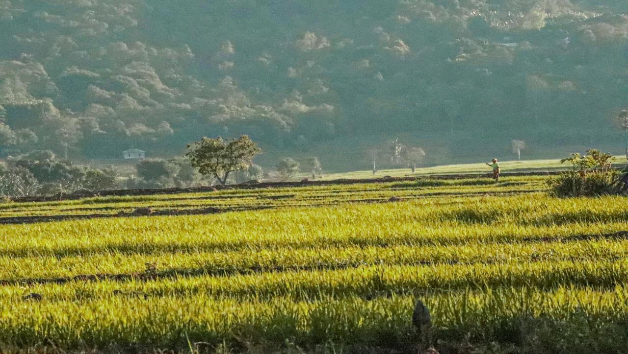 ParLezo Villa Lengkoajang Buitenkant foto